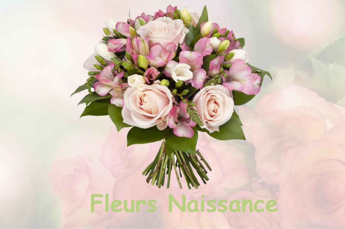 fleurs naissance TESSE-FROULAY